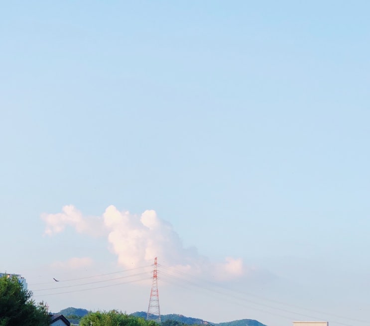  여름이 지나갔다.