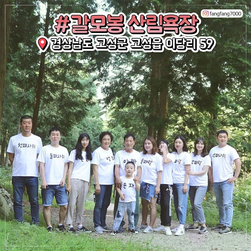 초록초록 시원한 숲길을 걷자! 고성 갈모봉 산림욕장 : 네이버 블로그