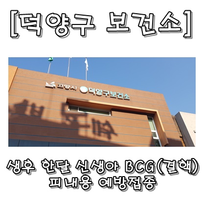  [덕양구 보건소] 생후 한 달 신생아 BCG(결핵) 피내용 예방접종