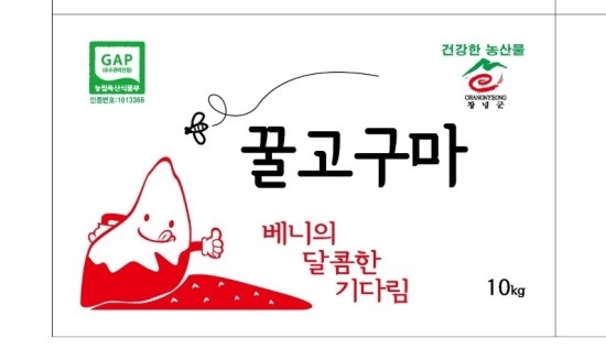  꿀고구마 가격,창녕군 농업기술센터 미생물 배양실 방문/풀과함께 고구마 재배(베니하루카 진품)