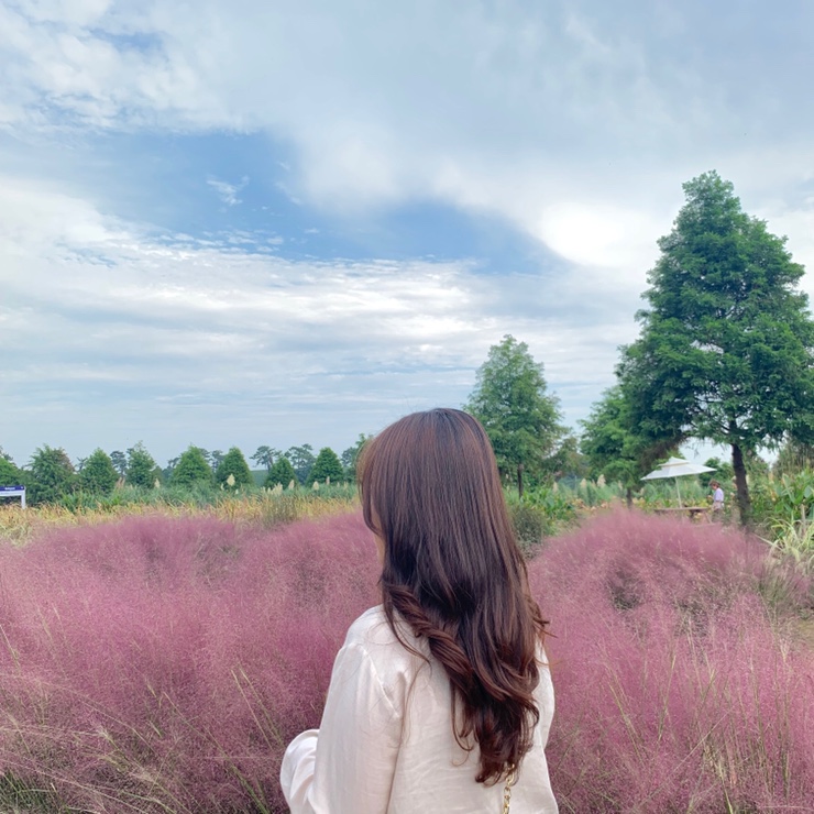  태안 안면도 대하축제 가격,청산수목원,소소펜션
