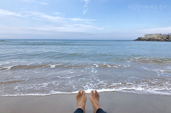  2019 09 바쁘다바빠/여전히 나는 서핑에빠지다/스티프서프/에어팟선물/ 추석 두둥!