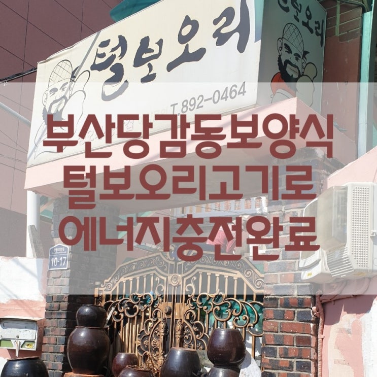  부산당감동보양식 털보오리고기로 에너지충전