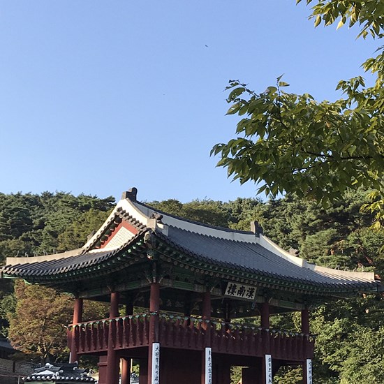 가을바람, 서현실비+올덴브라운+슈퍼말차+남한산성+양재 라운지+롤링핀+판교 메리어트 호캉스+마마스+길냥이