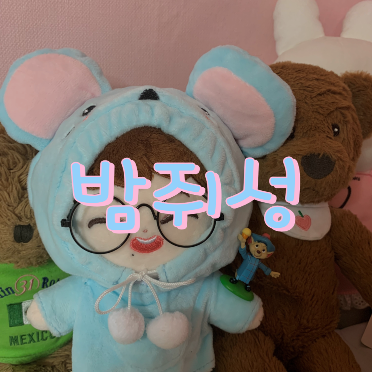  NCT DREAM 아이돌 인형 밤쥐성이 집에 왔어요!