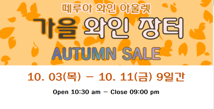  떼루아 와인아울렛 장터 와인 추천 2019.10.