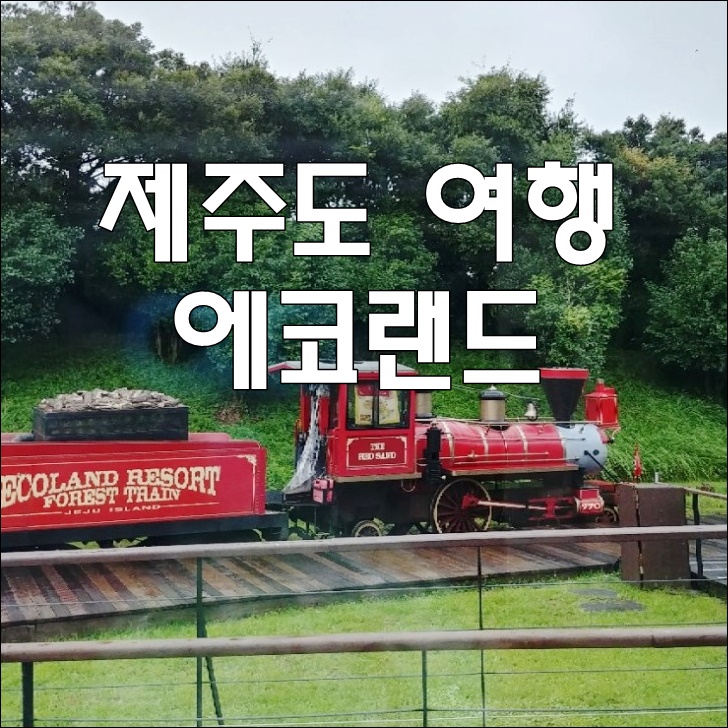  비오는 제주도 2박3일 여행 ::  에코랜드 테마파크 넓다넓어~!