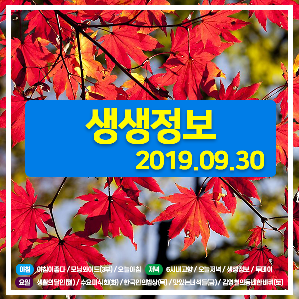 생생정보 20190930 (910) 서울도시건축비엔날레 / 묵은지닭볶음탕, 황금짜장면 / 간장게장+간장새우장 무제한 7000원, 순대국밥 4500원