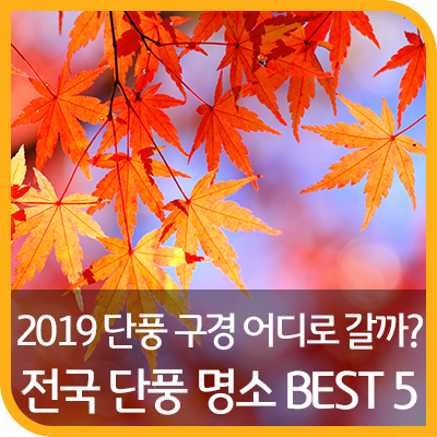 2019 단풍 시기 & 전국 단풍 명소 추천 BEST 5
