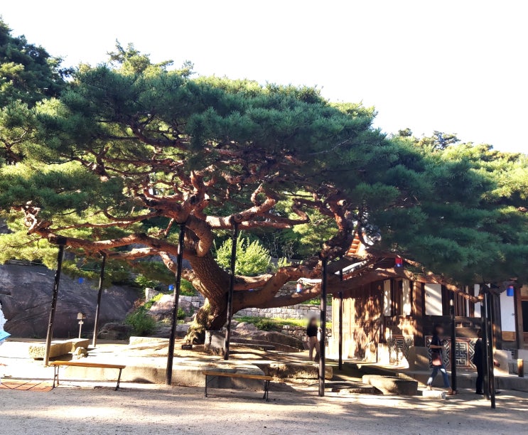  서울의 아름다운 명소 석파정 연휴에 가볼만한 곳