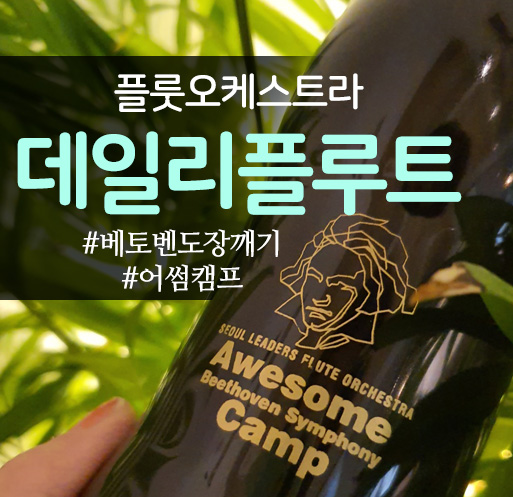  취미 악기 하나쯤은! 플룻배우기는 플루트 아마추어동호회 - 데일리플루트에서! 아줌마 플룻레슨 flute 플루트독학