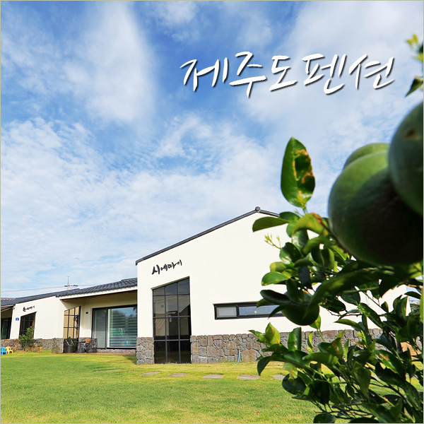  제주도 펜션 내집이었음~시에따이~