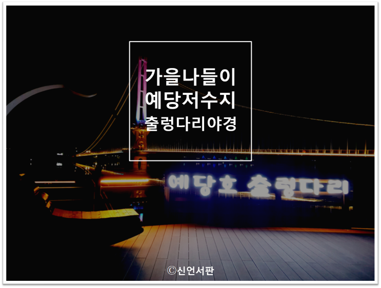  가을 나들이예당호(예당저수지) 출렁다리 야경~