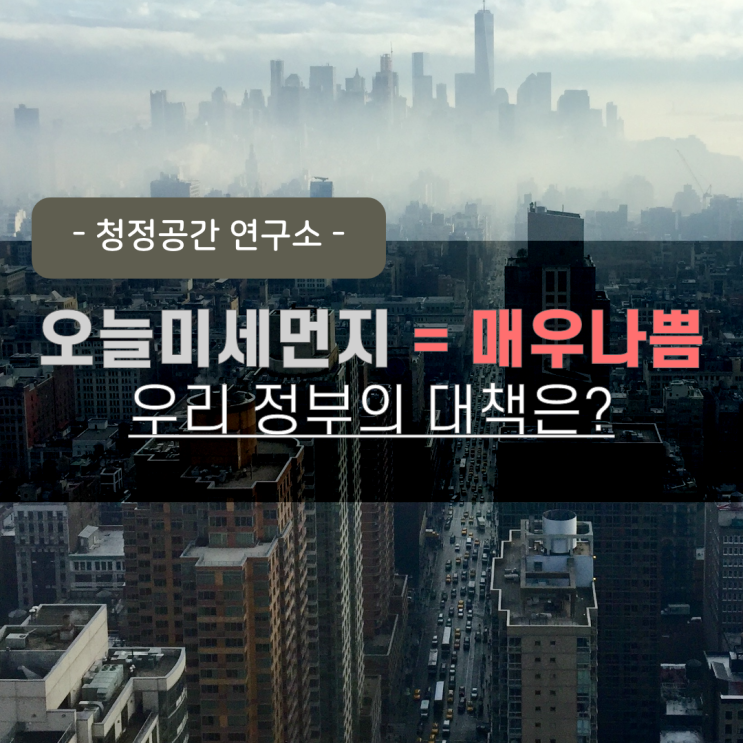 미세먼지 = 매우 나쁨, 정부의 대책과 실효성