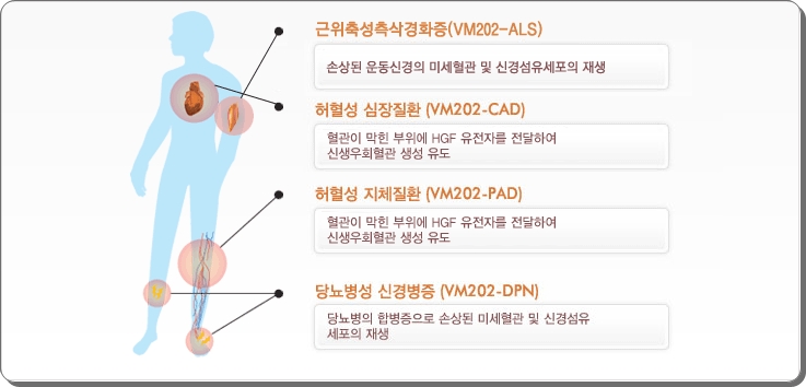 헬릭스미스 - 바이오 관련주