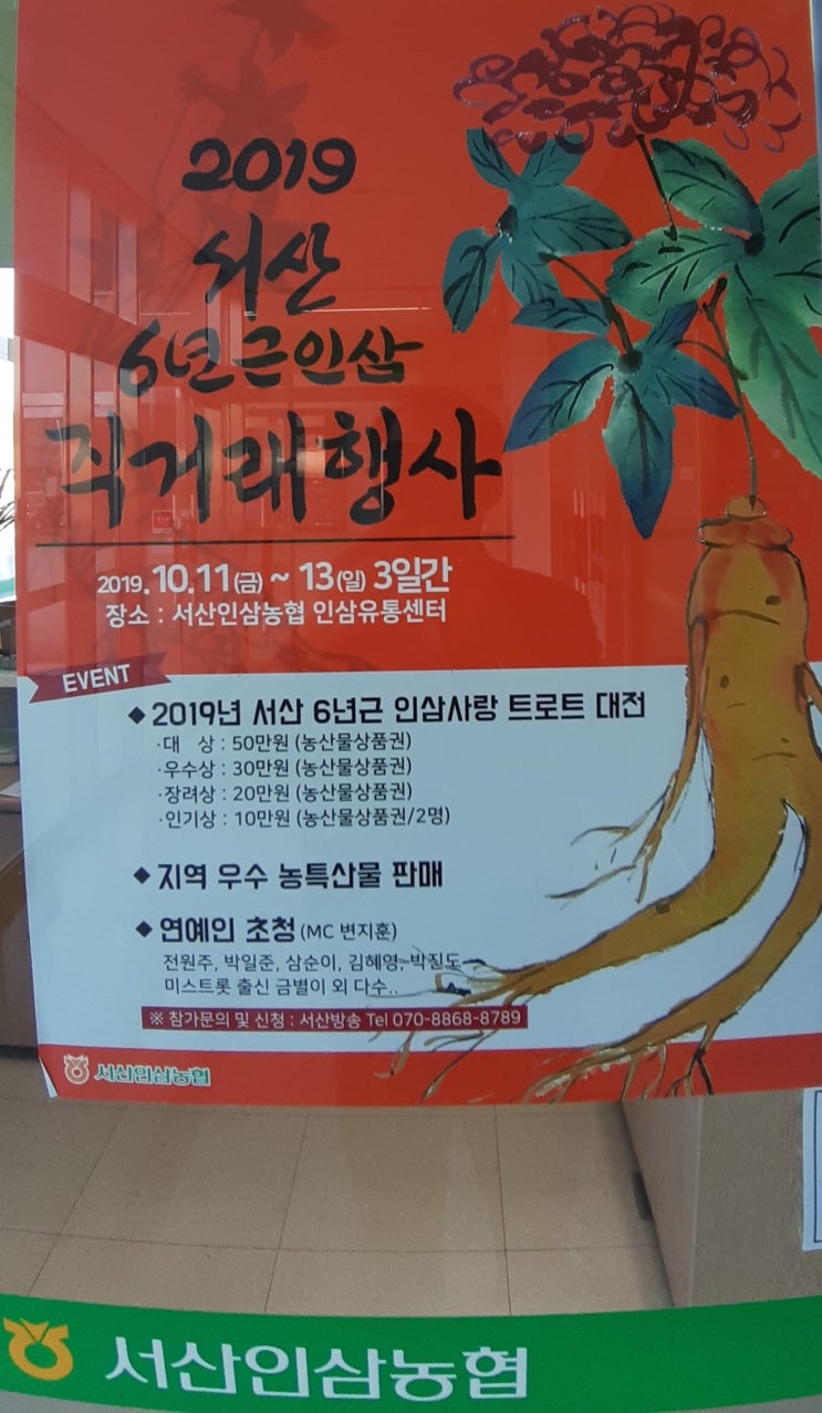  서산 여행 서산인삼축제 6년근 직거래 행사 2019