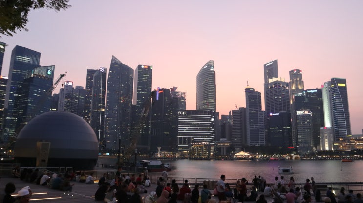 싱가포르 여자 혼자 여행 1일차 - 가든스바이더베이/차이나타운/슈퍼트리쇼/스펙트라레이저분수쇼