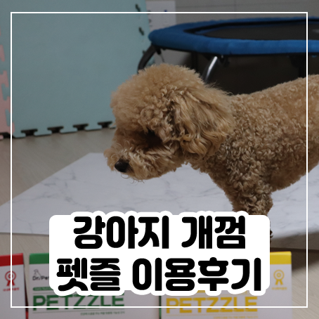 개껌 펫즐로 강아지 치석제거 도전! 개껌 펫즐로 강아지 치석제거 도전!