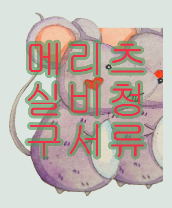  메리츠실비청구서류  믿음으로
