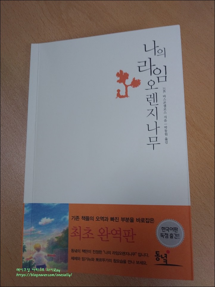  나의 라임 오렌지 나무, 소설읽기