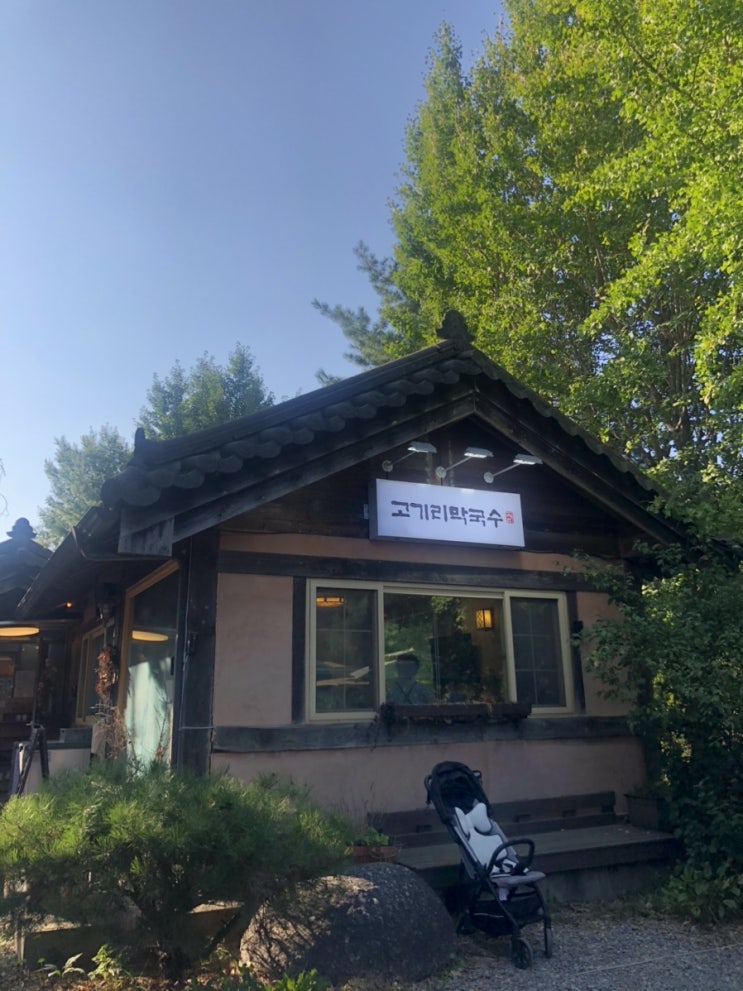  용인 고기리막국수/장원막국수/가족과 나들이