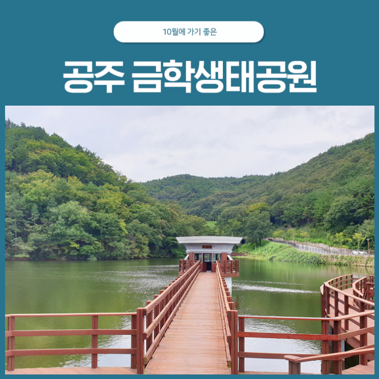  10월에 가기 좋은 공주 가볼만한 곳, 금학생태공원!