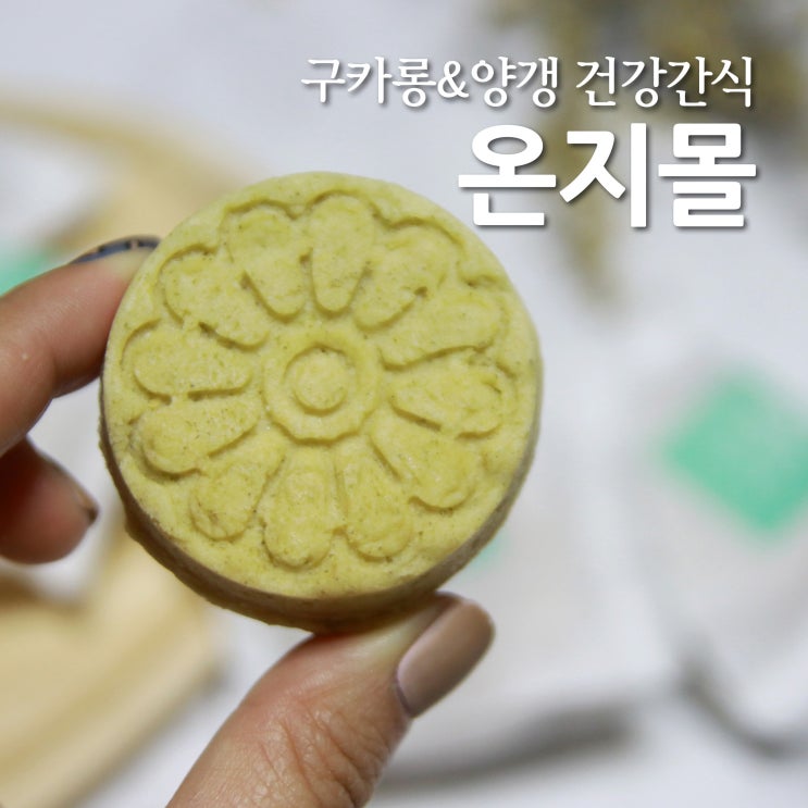  간식추천 건강디저트 구카롱 & 양갱 온지당에서