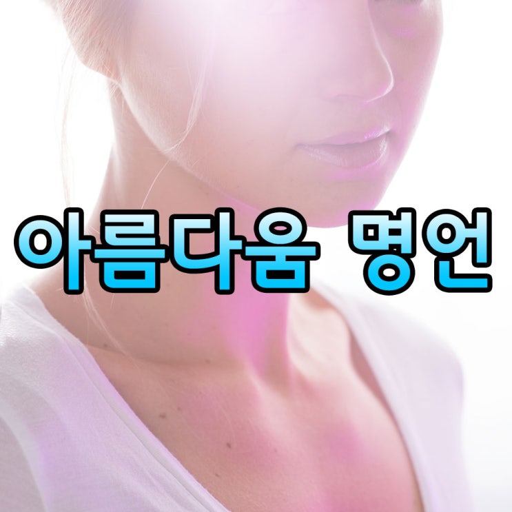  [아름다움 명언] 미에 관한 명언