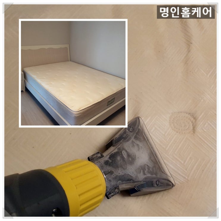  대구에서 오줌얼룩 제거 잘하는 매트리스청소와 세탁 업체를 만나려면?