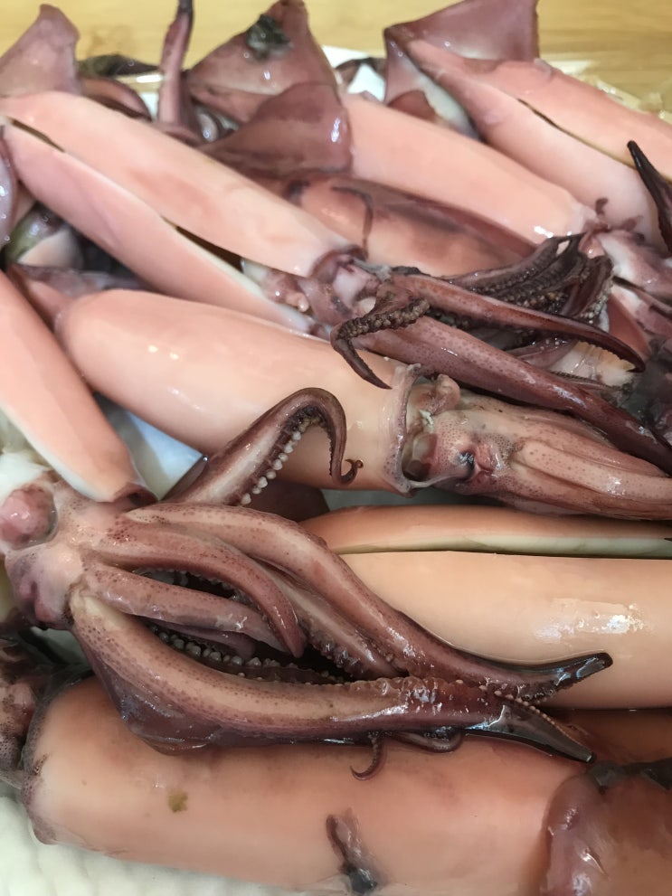  반건조생선 반건조 오징어/미스터봉포