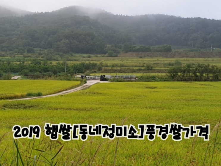 2019 햅쌀 벼수확시기 [동네정미소] 풍경
