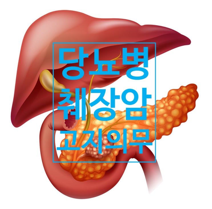  [암진단비] 췌장암(C25)과 당뇨병(E10,E11)의 인과관계에 따른 보험금 지급관계 / 고지의무와 644조 무효 효과