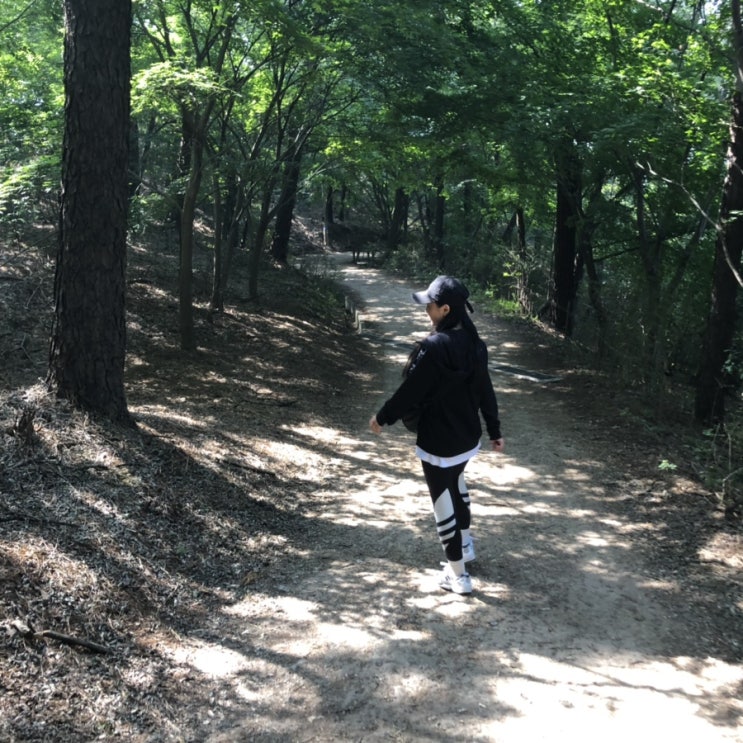  [안성 등산로] 안성 비봉산에서 세번째 등산을 고고! ε 
