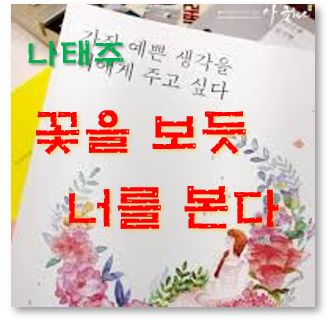  [사랑시 모음] 꽃을 보듯 너를 본다. 나태주시인의 슬픈시 모음