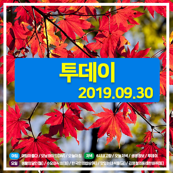 투데이 20190930 (2422) 천안 절대 김치찌개 / 도전 올공(올림픽공원) 로드-스테이크덮밥,참다랑어덮밥,수플레팬케이크,감자탕 / 한남동 숯불닭목살구이,파김치볶음밥 투데이 20190930 (2422) 천안 절대 김치찌개 / 도전 올공(올림픽공원) 로드-스테이크덮밥,참다랑어덮밥,수플레팬케이크,감자탕 / 한남동 숯불닭목살구이,파김치볶음밥