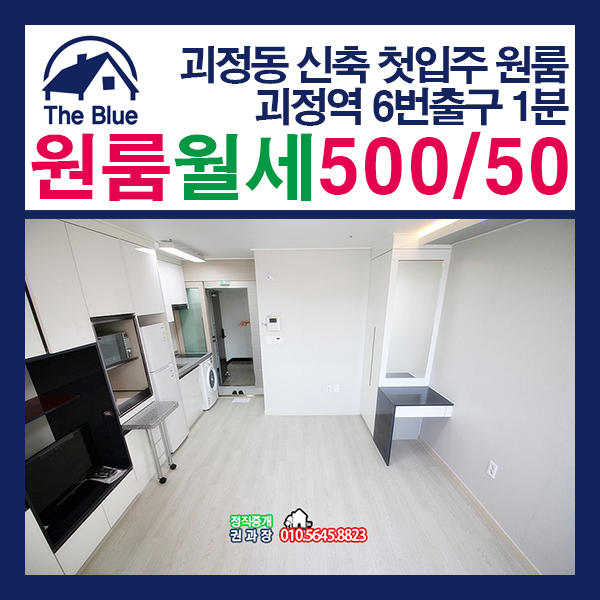  괴정역 신축원룸오피스텔 첫입주 주차가능 / 더블루권과장