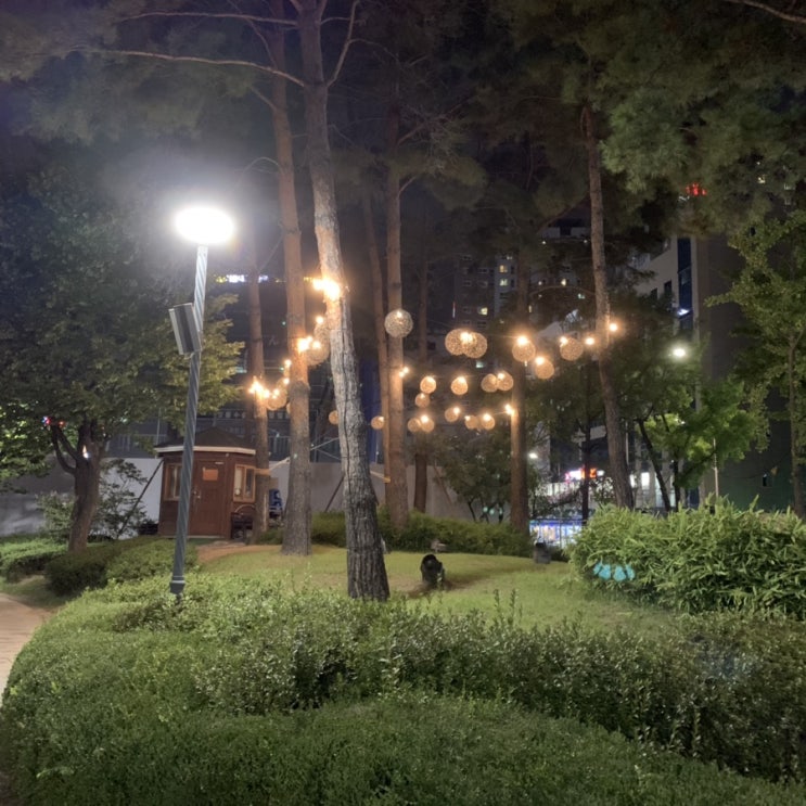  [#데일리로그] 내 인생에서 먹방이란...? (응 전부~)