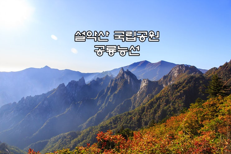 설악산 국립공원 공룡능선 단풍 산행