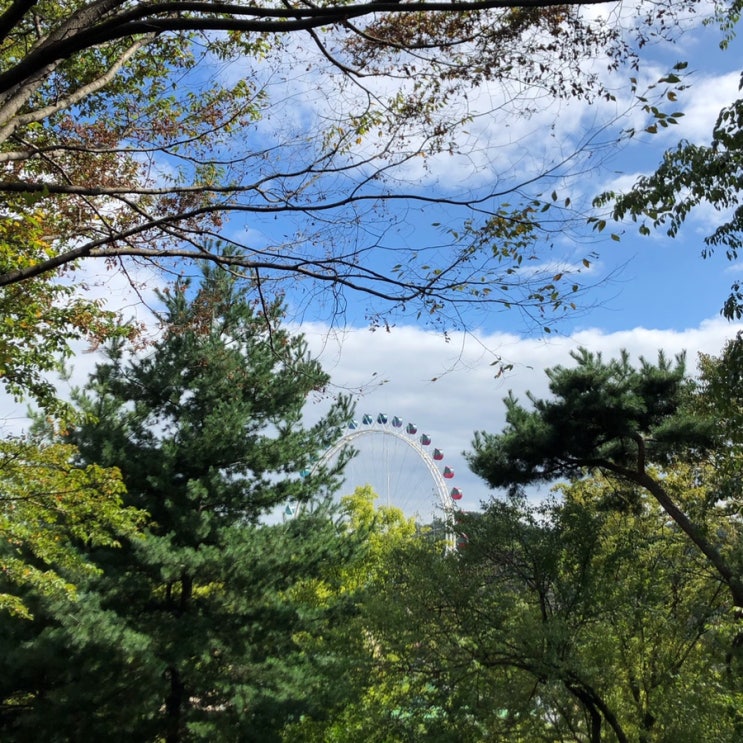  2019, 9