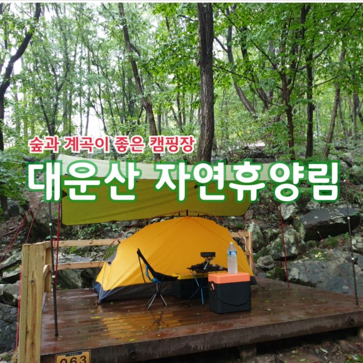  양산 대운산 자연휴양림 :: 나무가 많은 숲속 캠핑장