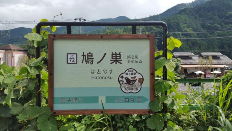  일본생활 도쿄 근교여행 오쿠타마 트레킹 하토노스 계곡