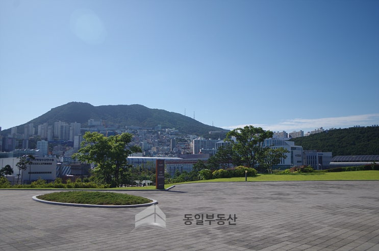  서울 재개발, 부산 재개발 조합 횡포에 대한 대응...