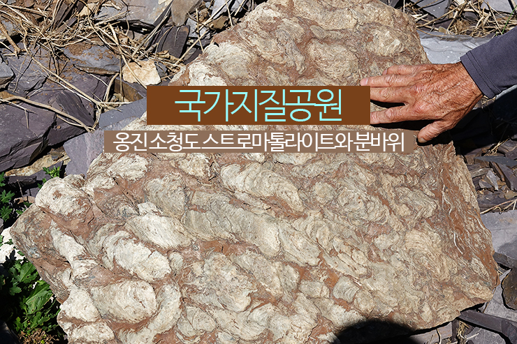  국가지질공원, 옹진 소청도 스트로마톨라이트와 분바위 월띠