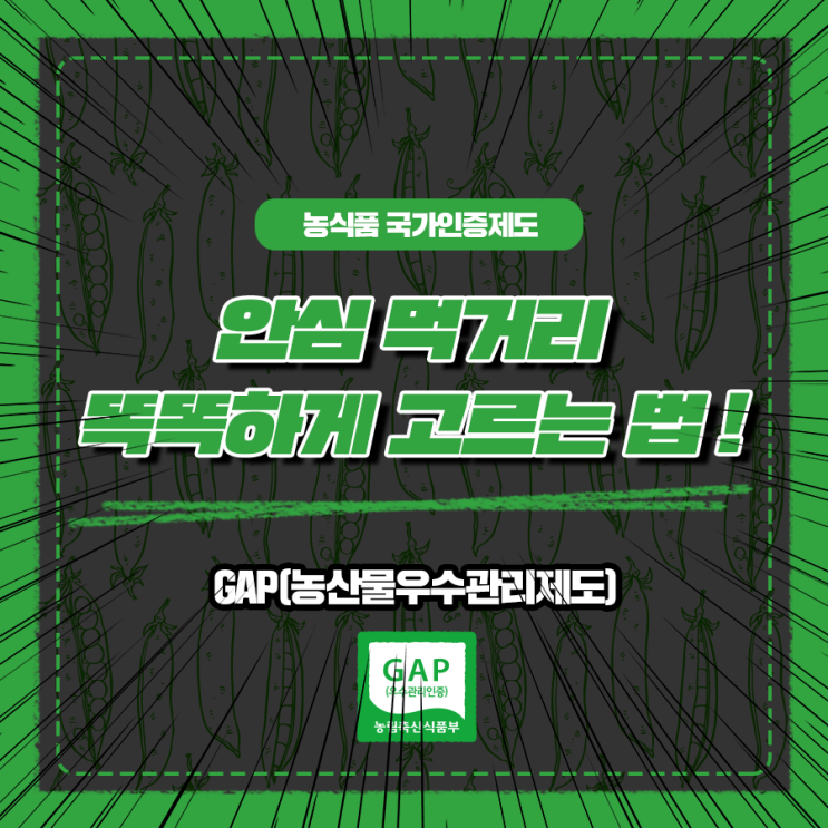  [MBC 오늘 저녁]안심 먹거리 똑똑하게 고르는 법, GAP 인증 농산물