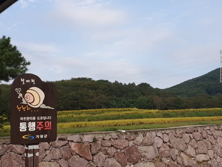  봉명공인중개사 배돌콩의 가을 나들이-철마면
