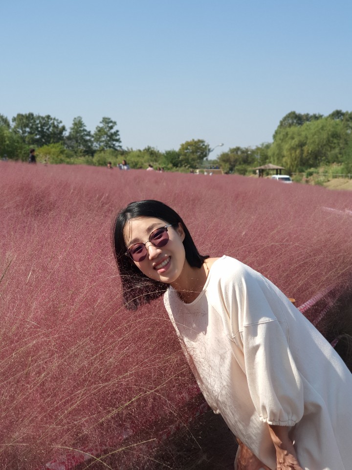 서울 핑크뮬리-예쁘게 물든 하늘공원