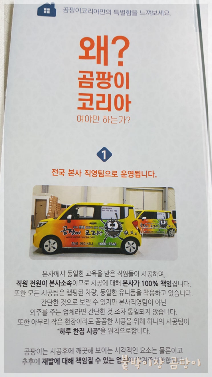 붙박이장 곰팡이 한방에 해결하기