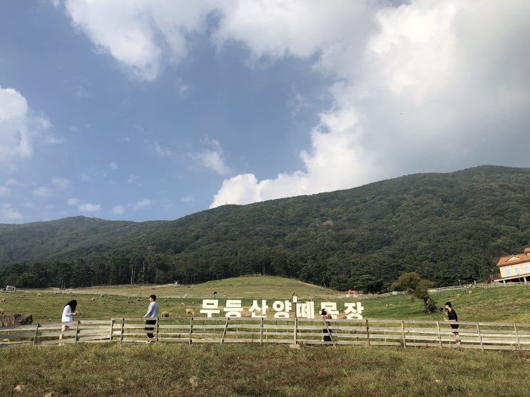  [전남 화순] 무등산양떼목장