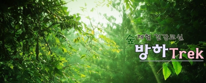 아차산 고구려역사탐방길 / 방하Trek 숲체험건강치유