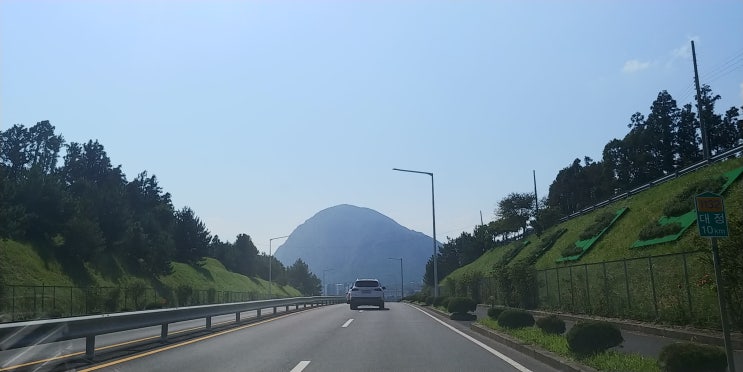 제주 남방돌고래 탐사 디스커버리 제주